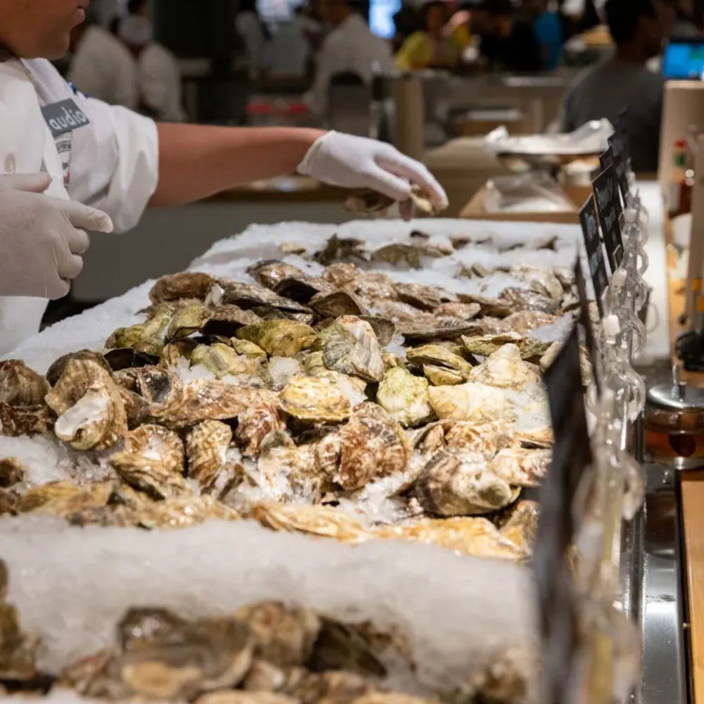 From the Cold Waters of British Columbia to Vietnam’s Warm Hospitality