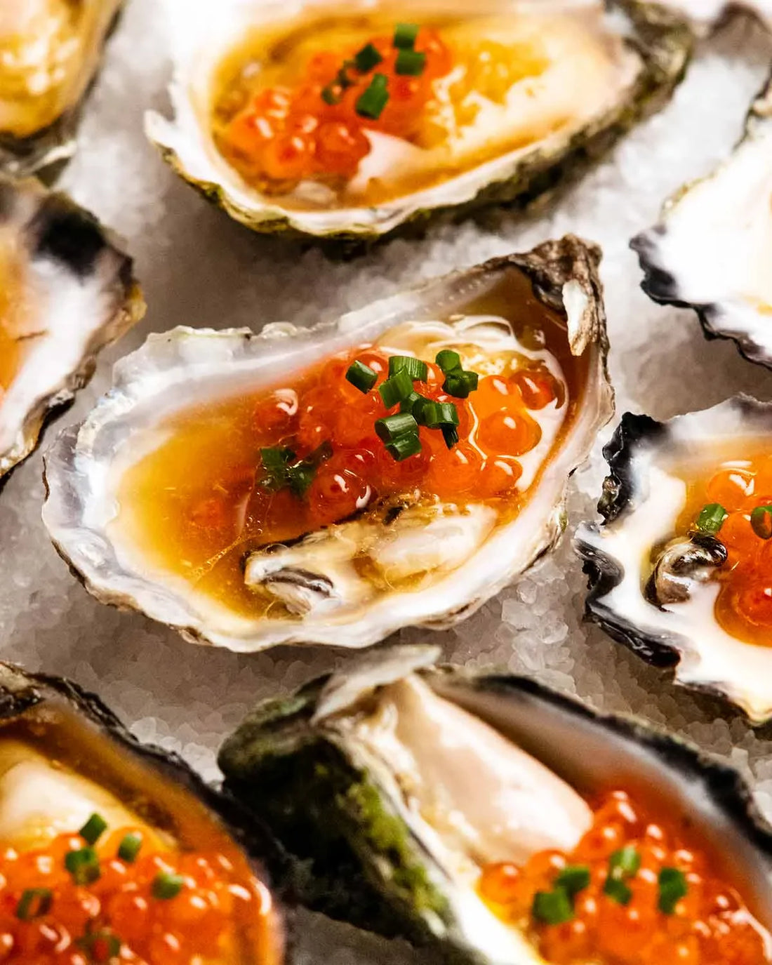 The Journey of Canadian Oysters to Vietnam