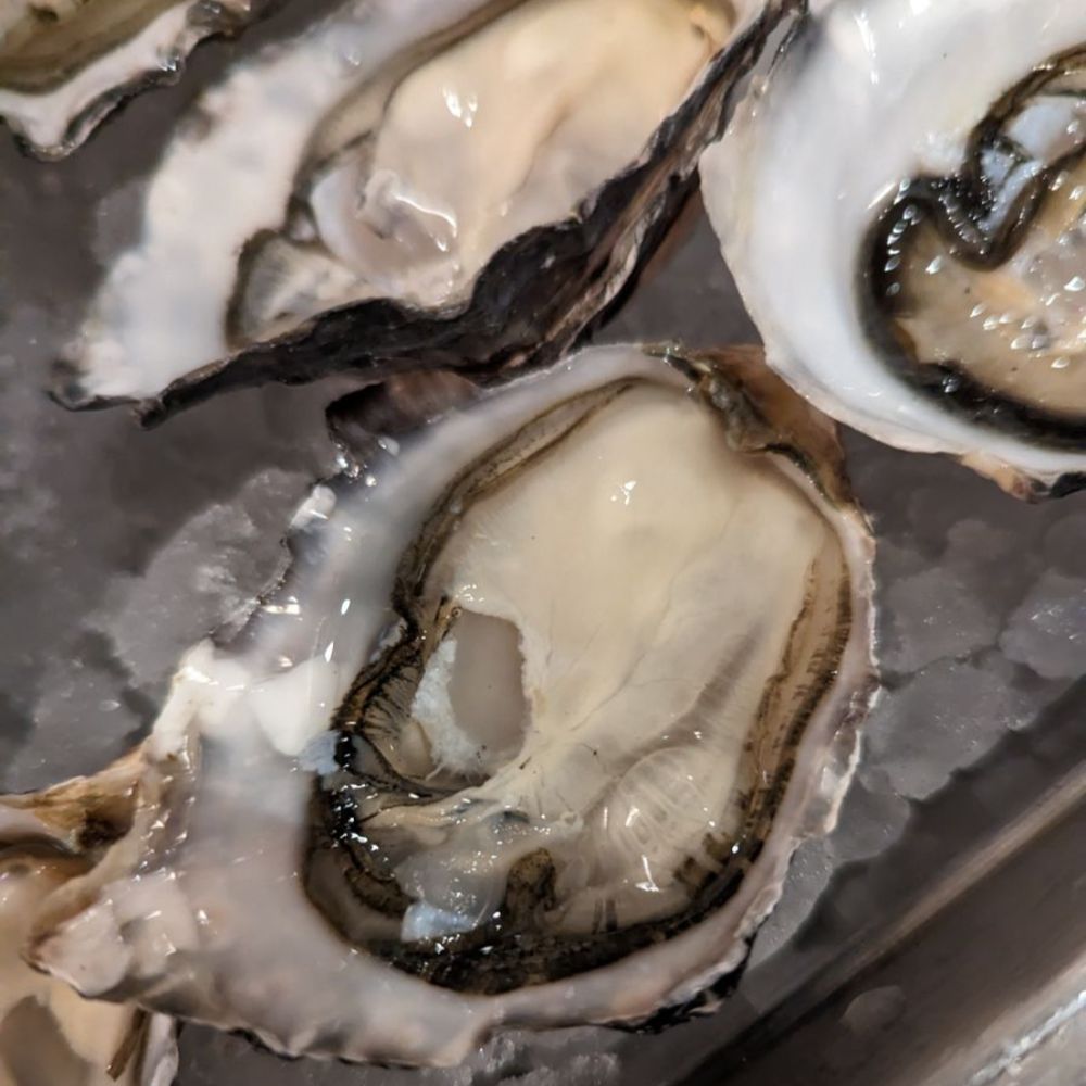 What Makes Canadian Oysters Special