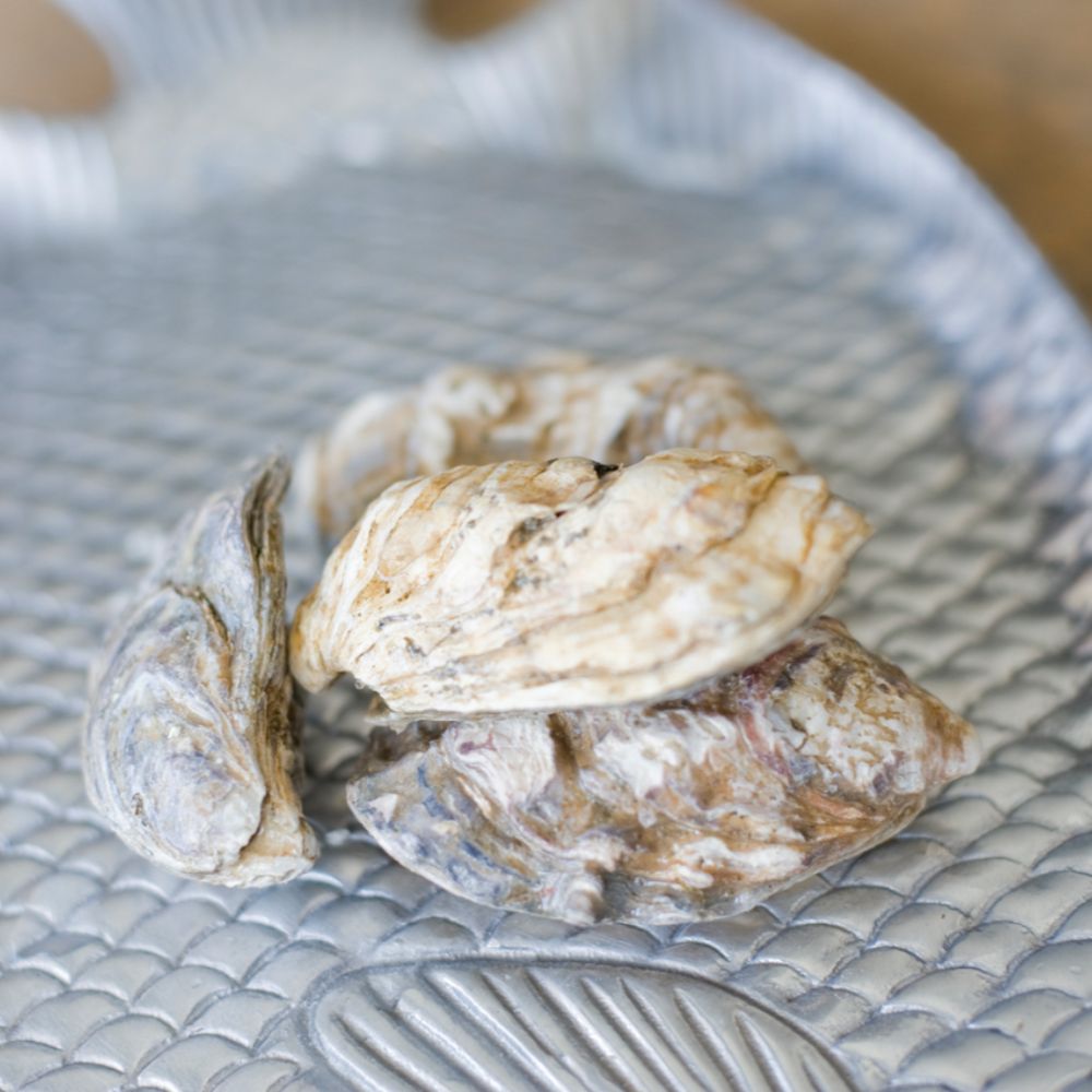 Hàu Champagne
