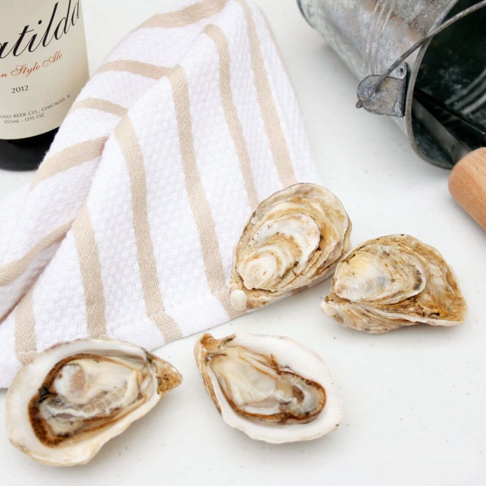 Hàu Champagne